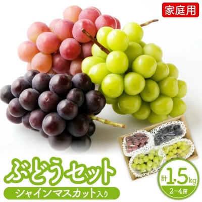 訳あり(ご家庭用) シャインマスカット入り詰め合わせぶどう 1.5kg 0065-2604