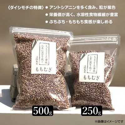 令和8年度　淡路島 南あわじ産の精米(きぬむすめ)ともちむぎのセット