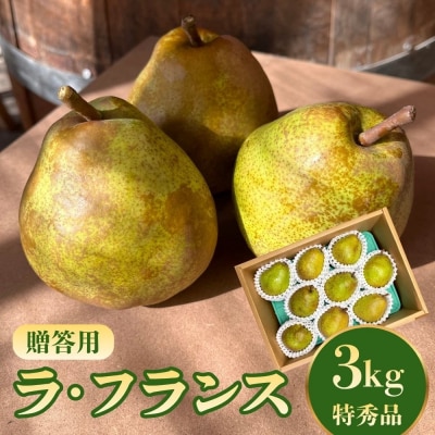 西洋梨(ラ・フランス)3kg　特秀品　0065-2608