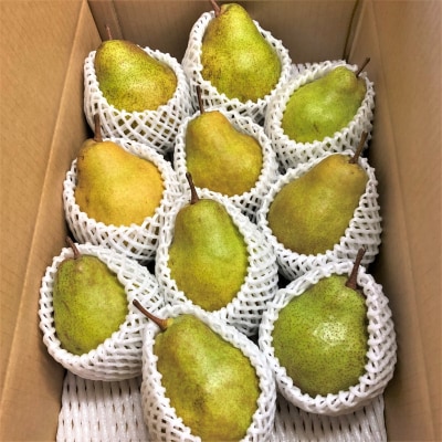西洋梨(シルバーベル)5kg　ご家庭用　0065-2609