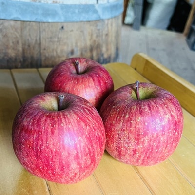 りんご(サンふじ)5kg　12～20個　秀品　0065-2611