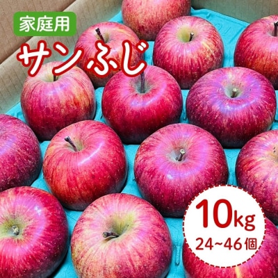 りんご(サンふじ)10kg　24～46個　ご家庭用　0065-2612
