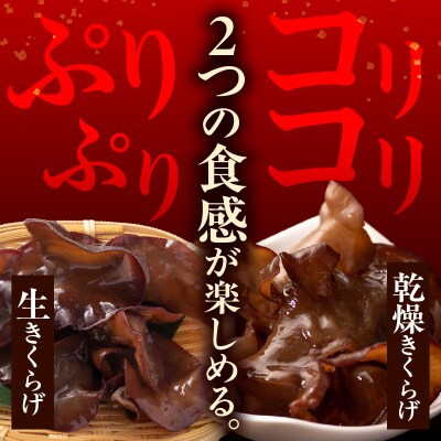 期間限定 生きくらげ 乾燥きくらげ セット 生きくらげ 300g 乾燥きくらげ 30g