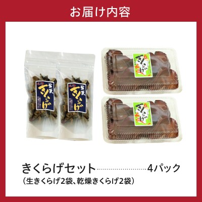 期間限定 生きくらげ 乾燥きくらげ セット 生きくらげ 300g 乾燥きくらげ 30g