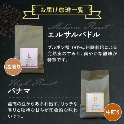 豆タイプ 厳選 コーヒー オススメ BOX セット 100g×4種 計400g