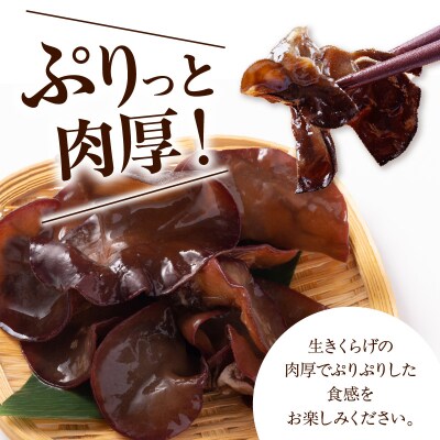 期間限定 生きくらげ 200g × 6パック 計1.2kg 2026年6月～10月中旬頃 お届け予定