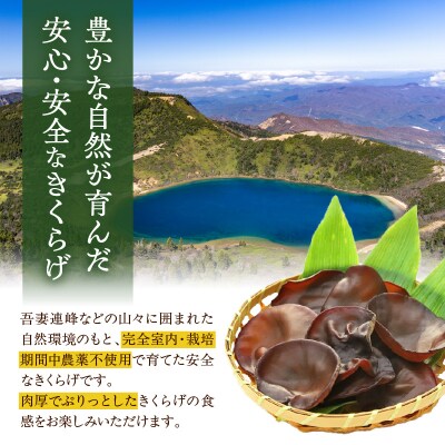 期間限定 生きくらげ 200g × 6パック 計1.2kg 2026年6月～10月中旬頃 お届け予定