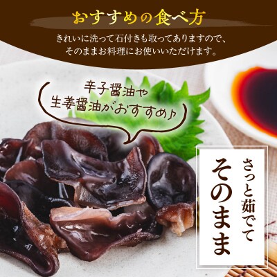 期間限定 生きくらげ 200g × 6パック 計1.2kg 2026年6月～10月中旬頃 お届け予定