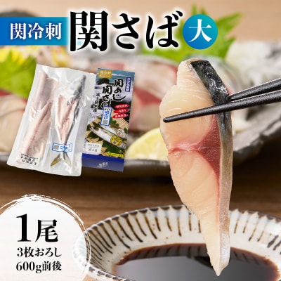 関冷刺 関さば(大)_E04002