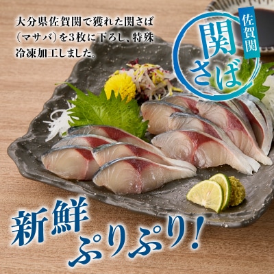 関冷刺 関さば(大)_E04002