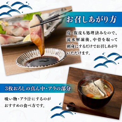 関冷刺 関さば(大)_E04002