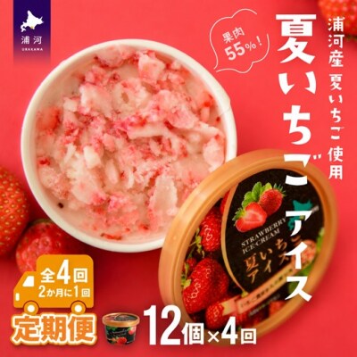 果肉55%「夏いちごアイス(12個)」【全4回定期便】[22-999]
