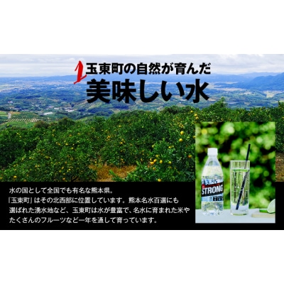 強炭酸水 500ml×24本 熊本県 玉東町産 強炭酸 水 飲料《10月上旬-12月下旬頃出荷》