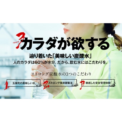強炭酸水 500ml×24本 熊本県 玉東町産 強炭酸 水 飲料《10月上旬-12月下旬頃出荷》