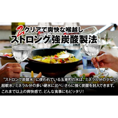強炭酸水 500ml×48本 熊本県 玉東町産 強炭酸 水 飲料《10月上旬-12月下旬頃出荷》