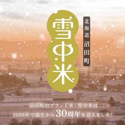 令和8年産【定期便3ヶ月】ななつぼし 精米 10kg(5kg×2袋)【6月発送】 nr-2228