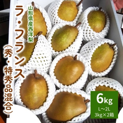 西洋梨(ラフランス)6kg(3kg×2箱)　0050-2601