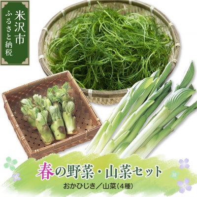 【先行受付】 令和8年産 春の山菜セット おかひじき 山菜4種