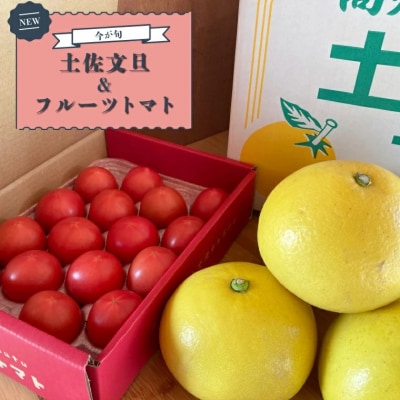 <2027年2月～3月発送>土佐文旦(約7kg)とアルテトマト(フルーツトマト約800g)セット