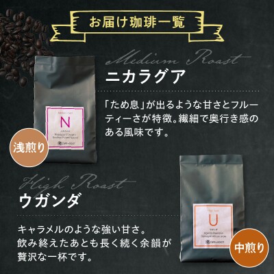 豆タイプ フルーティな酸味を堪能する 4種 珈琲 BOX セット 100g×4種 計400g