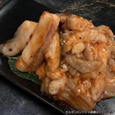 【数量限定】垣牧場直売「淡路姫和牛」BBQセット(750g)+ホルモンミックス(400g)