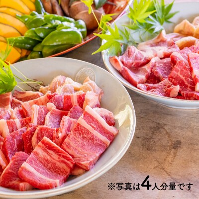 【仁淀川×土佐あかうし】手ぶらでバーベキュー体験プラン