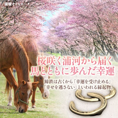 北海道浦河町産『蹄鉄アレンジメント』[50-1576]