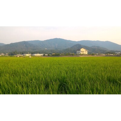 東広島市産米 令和8年産 あきさかり 5kg×2袋【新米】