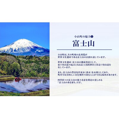 【エリア限定】食事券 リンガーハット 30000円分 グループ共通 外食 ちゃんぽん