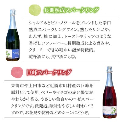 ワイン　長期熟成スパークリング & 巨峰 スパークリングワイン 2本セット 【アルカンヴィーニュ】