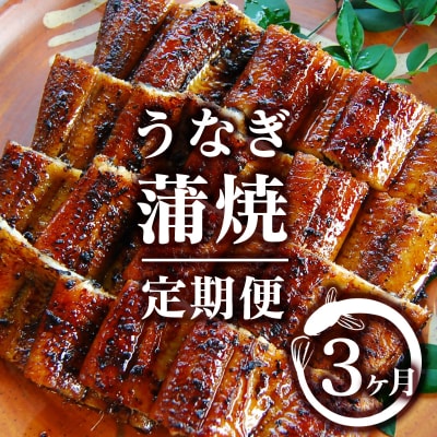 西都市うなぎ名店巡り3ヶ月定期便(1月〜3月お届け) 熟成たれ付国産【先行受付】[3327]