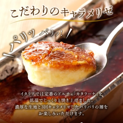カタラーナ北海道産 2個入 250g 20cm×8cm /合計500g_Y095-0006