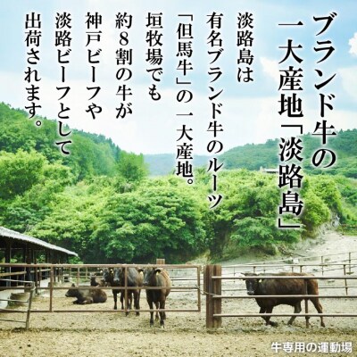 垣牧場直売「淡路姫和牛」たれ漬　800g(400g×2パック) 