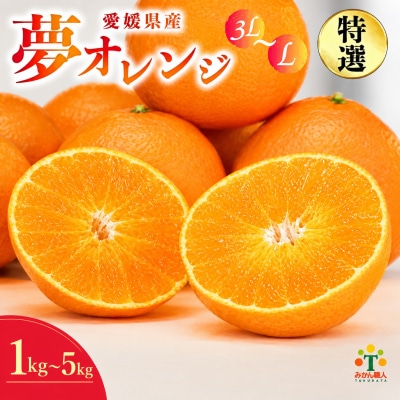 【紅まどんな と同品種】【特選品】みかん職人の夢オレンジ 2kg 3kg 5kg みかん職人武田屋