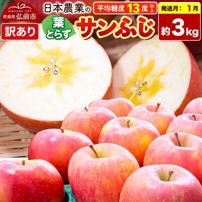 【27年1月発送】りんご 葉とらずサンふじ 約3kg【訳あり】|24_nng-130301ah