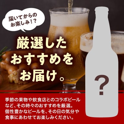クラフトビール 定番 4種 + スペシャル ビール 飲み比べ セット 330ml×6本 地ビール