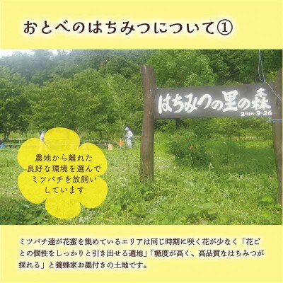 <おとべのはちみつ アカシア130g×2本>