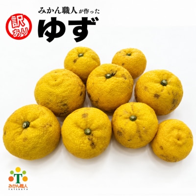 先行受付【訳あり】みかん職人の柚子(ゆず) 3kg 5kg 柑橘 果物 フルーツ みかん職人武田屋