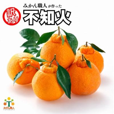 先行受付 訳あり 不知火 3kg 5kg みかん 柑橘 フルーツ 果物 みかん職人武田屋