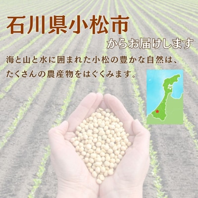 【先行予約】大豆 10kg 豆 イソフラボン おやつ おつまみ 味噌作り