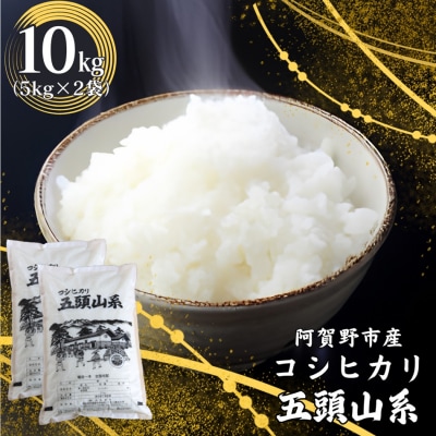 【令和7年産】コシヒカリ 10kg「五頭山系」米屋のこだわり阿賀野市産