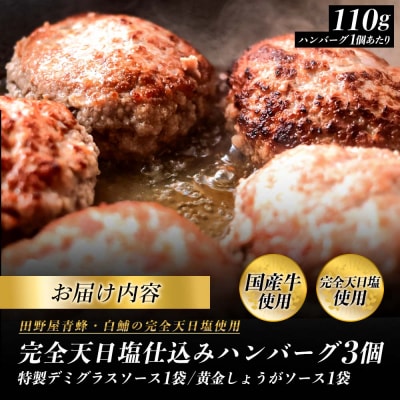 食べ比べ!田野屋青蜂・白鯆の完全天日塩 完全天日塩仕込みハンバーグ3種セット各1個
