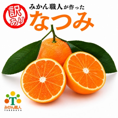 先行予約【訳あり】みかん職人のなつみ 3kg 5kg みかん 柑橘 フルーツ 蜜柑 みかん職人武田屋