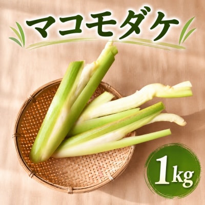 【期間限定・数量限定】希少 マコモダケ【1kg】