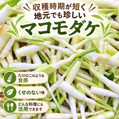 【期間限定・数量限定】希少 マコモダケ【1kg】