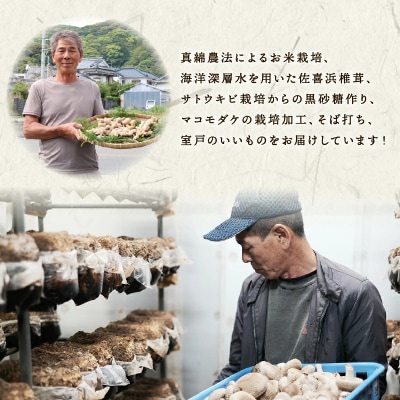 【期間限定・数量限定】希少 マコモダケ【2kg】