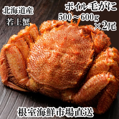 ボイル毛がに500～600g×2尾(若上蟹) C-11061