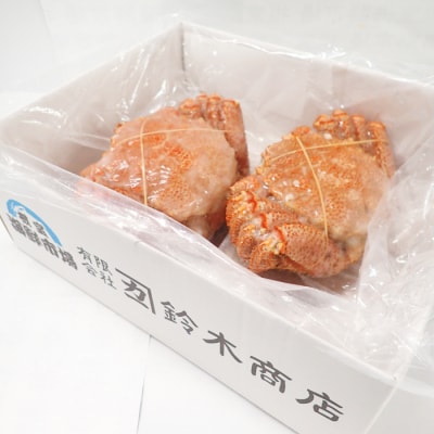 ボイル毛がに500～600g×2尾(若上蟹) C-11061
