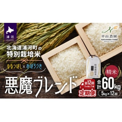 北海道浦河町の特別栽培米「悪魔ブレンド」精米(5kg×1袋)定期便(全12回)[37-1653]