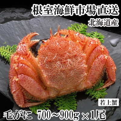 ボイル毛がに700～900g×1尾(若上蟹) B-14130